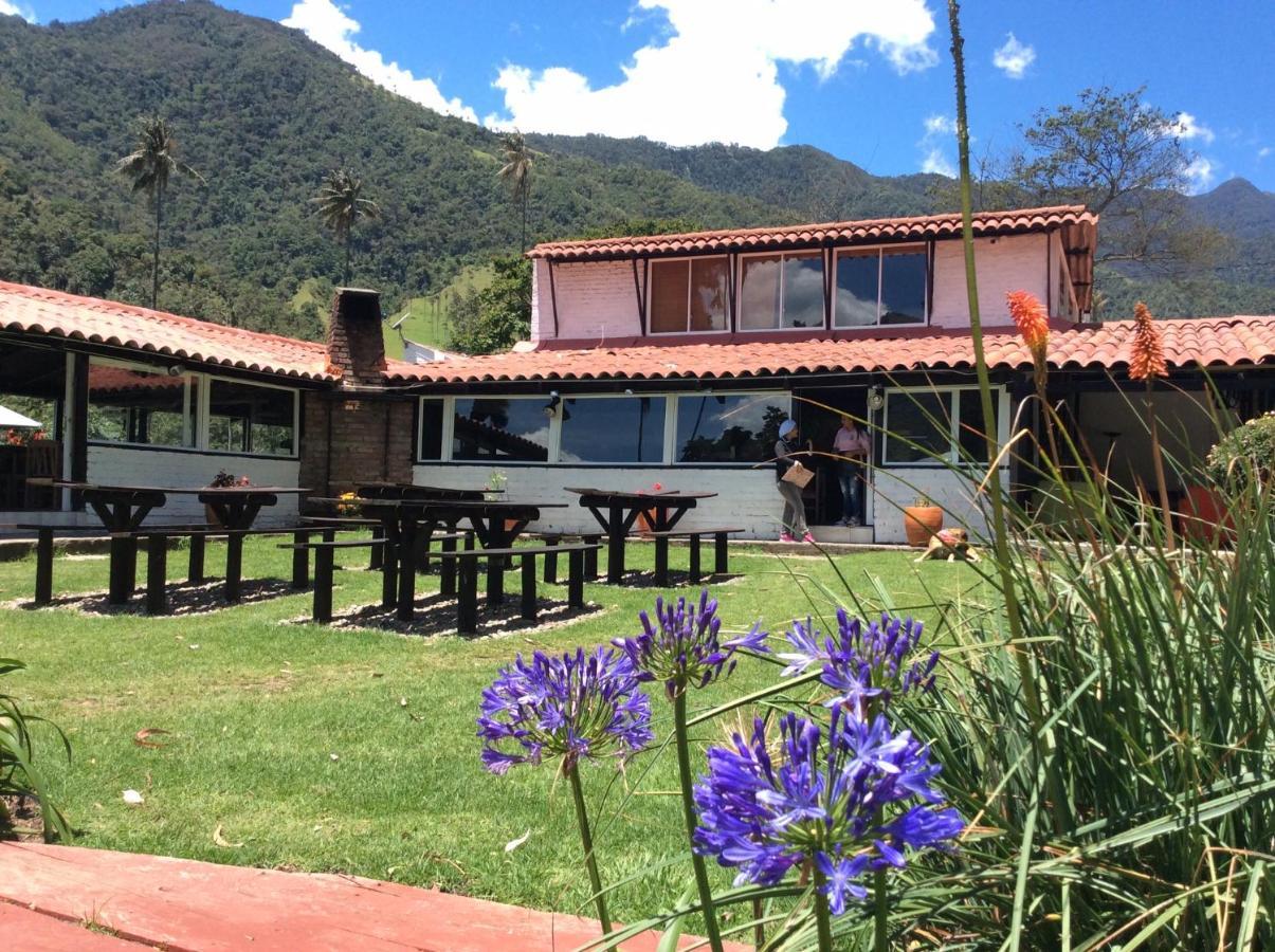 Palmas De Cocora Pensionat Salento Eksteriør billede