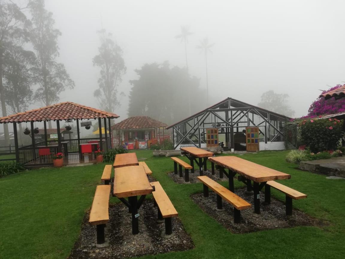 Palmas De Cocora Pensionat Salento Eksteriør billede